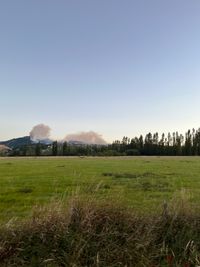 What Are The Port Hills Fires?