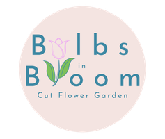 Bulbs in Bloom