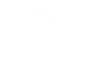 Big Tuna Pty Ltd