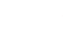 Big Tuna Pty Ltd