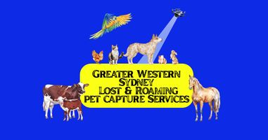 Greater Western Sydney’s Official Website | Online Merch Store