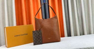 Louis Vuitton CarryAll vs Low Key Hobo Is Better for Everyday Use?