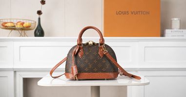 Louis Vuitton Speedy Bandoulière 20 vs Alma BB Fits Your Daily Routine?
