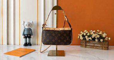 <p>Louis Vuitton Shoulder Bag Canvas vs Leather and Daily Use</p>