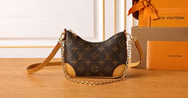 Louis Vuitton Diane vs Boulogne Is Easier to Carry Every Day?