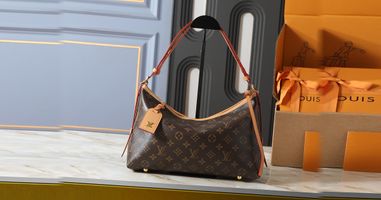 Louis Vuitton CarryAll PM vs MM Size Is Better for Everyday Use?