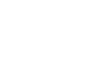 Online Store