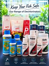 Which Dechlorinator Should You Choose? 