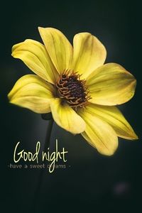 MARYVALE ROAD NURSERY MORWELL