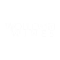 wollombi wines