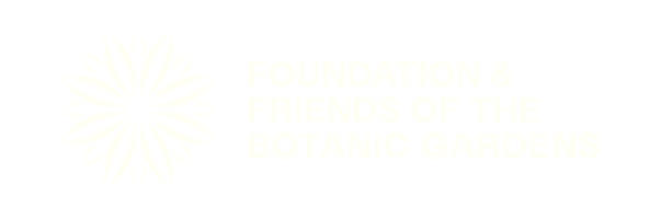 Foundation & Friends