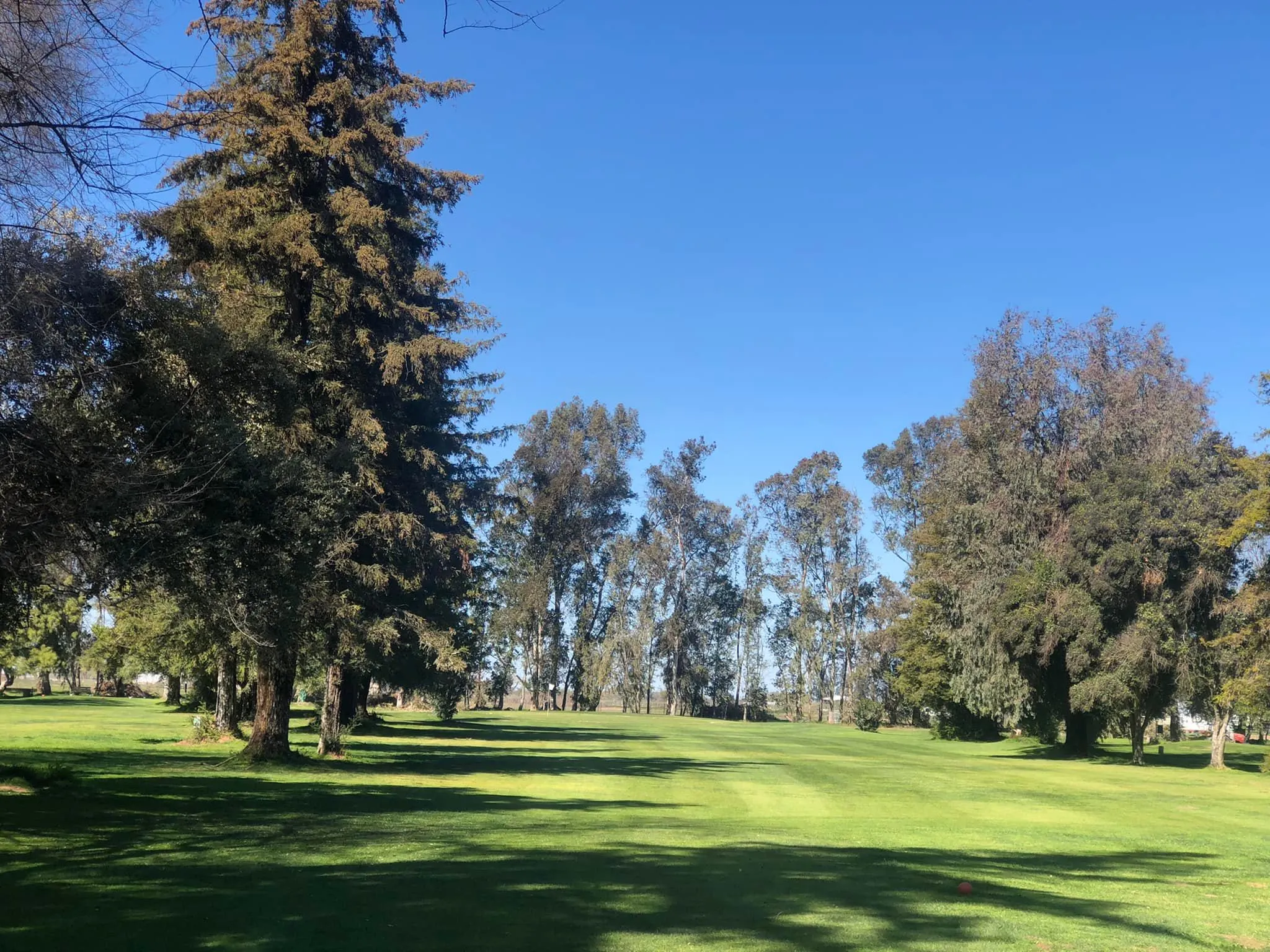 Golf course landscape