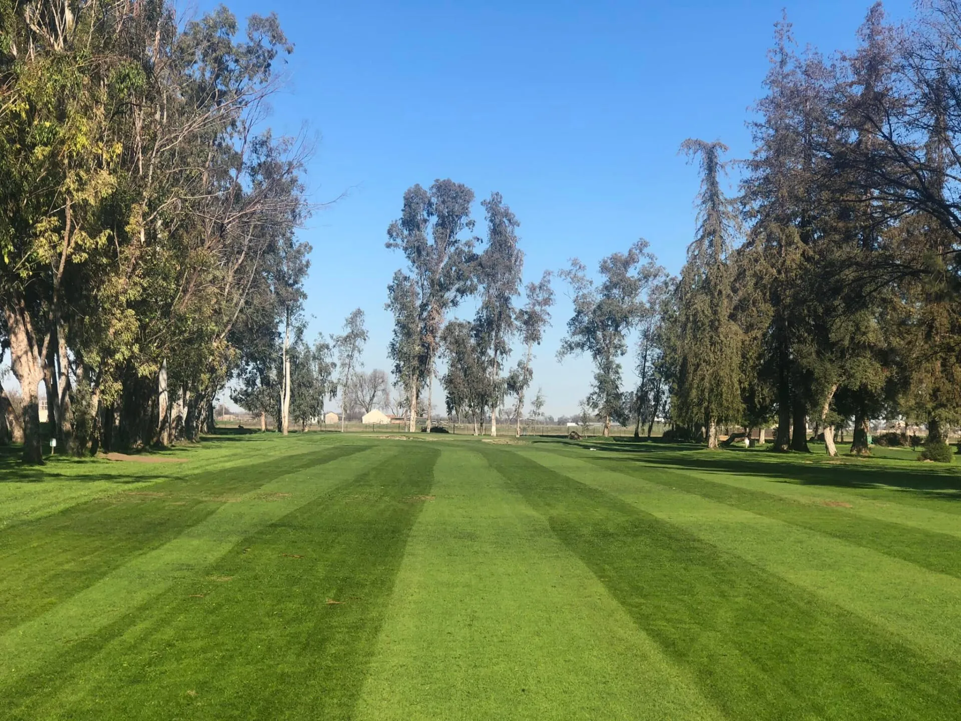 Golf fairway at sunrise