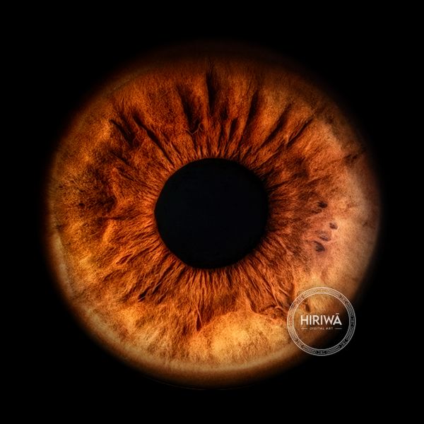 Macro iris eye portrait photography example