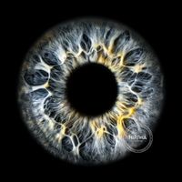 Blue-grey iris with bright white looping fibres and small golden-yellow accents.