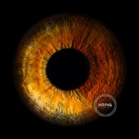 Golden-orange iris fading into deep reddish-brown, with fine dark radial texture.