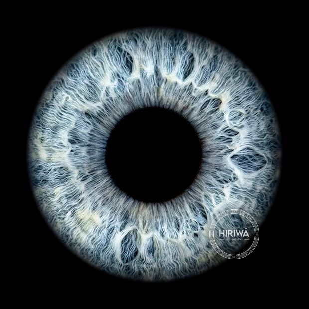 Iris portrait example 15