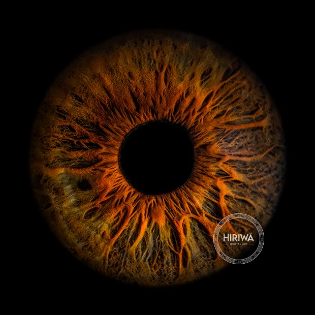 Iris portrait example 9