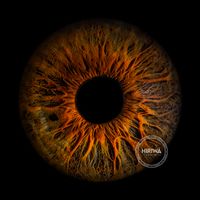 Dark hazel iris with dramatic fiery orange streaks branching outward from the pupil.