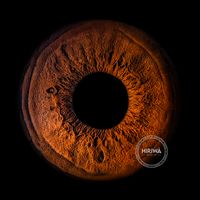 Deep copper-brown iris with fine dark radial texture and warm reddish-orange tones.