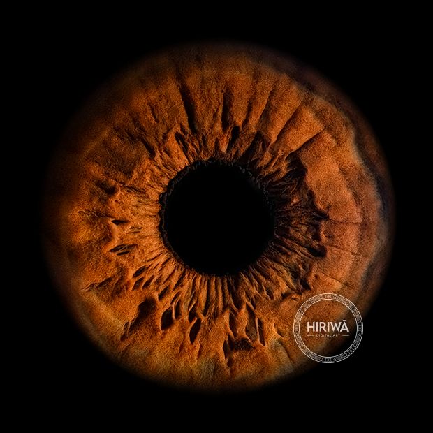 Iris portrait example 11