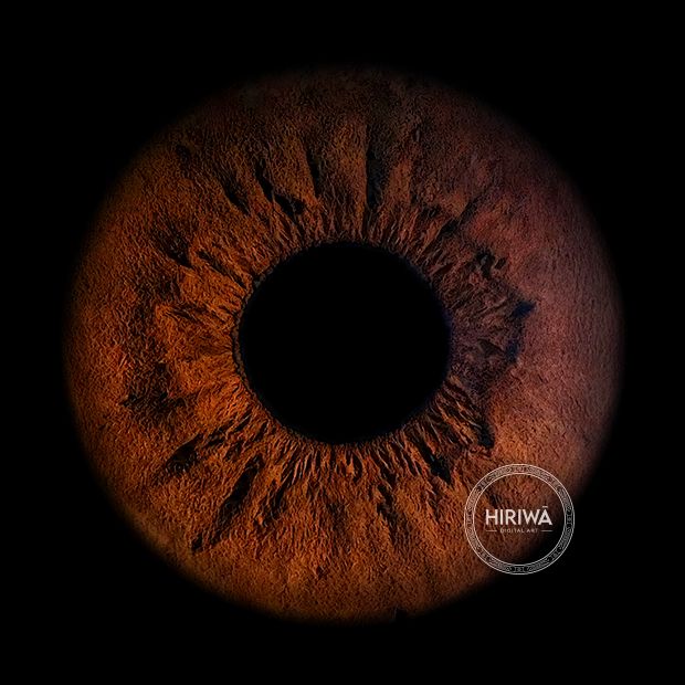 Iris portrait example 16