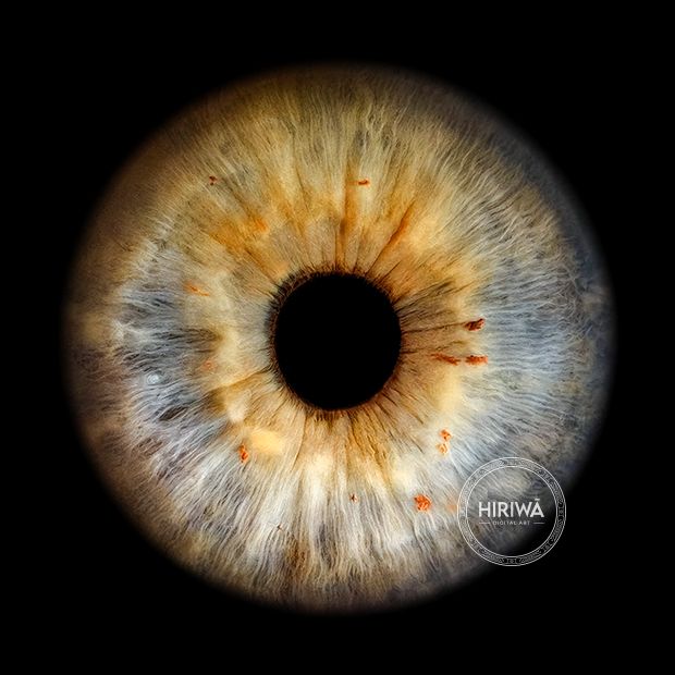 Iris portrait example 8
