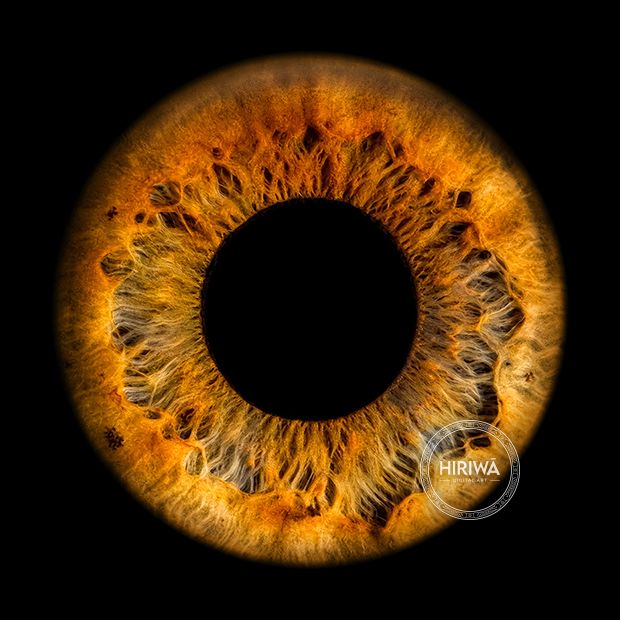 Iris portrait example 22