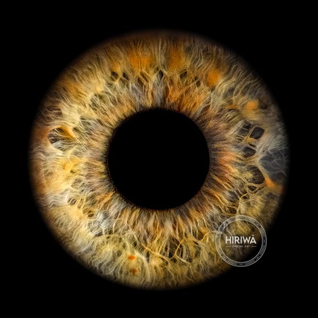 Iris portrait example 14