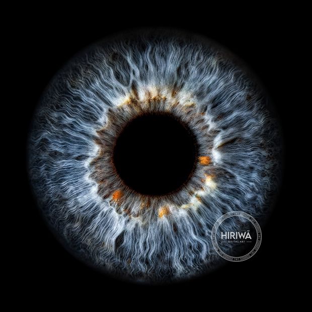 Iris portrait example 23