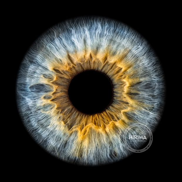Iris portrait example 21