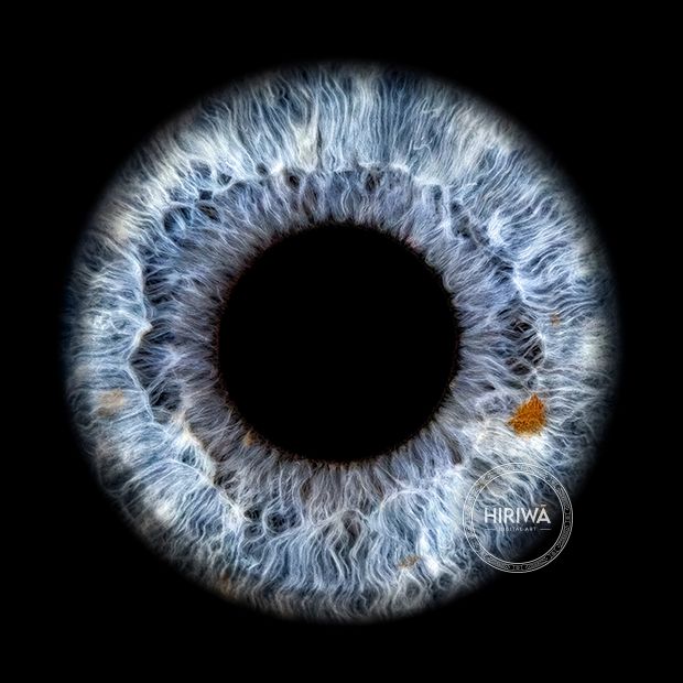 Iris portrait example 17