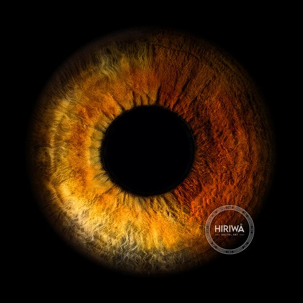 Iris portrait example 18