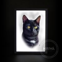Custom portrait of a black cat with bright yellow-green eyes and a white chest.