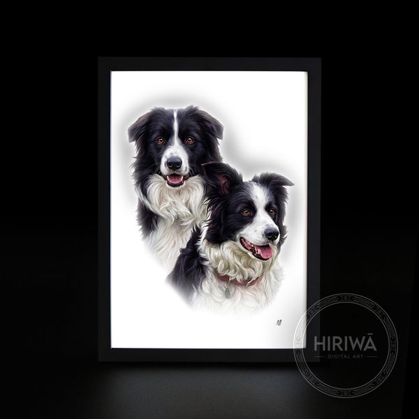 Pet portrait example 15