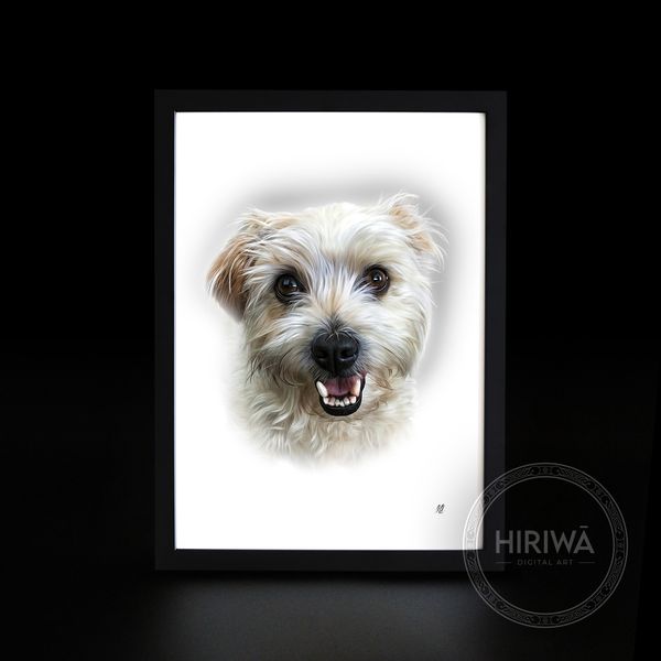 Pet portrait example 8