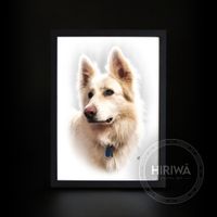 Custom portrait of a long-haired white dog looking to the side.