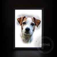 Custom portrait of a white and tan Jack Russell terrier.