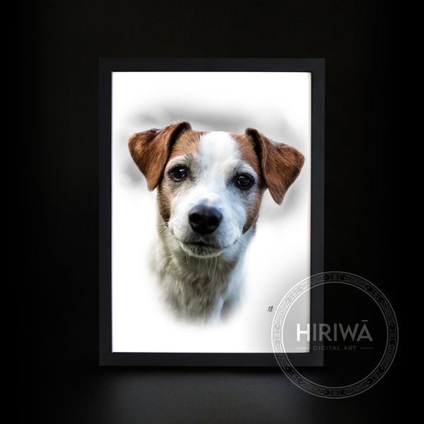 Pet portrait example 5
