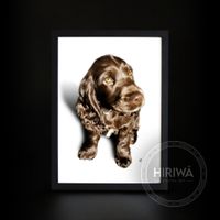 Custom portrait of a brown spaniel puppy with long curly ears.