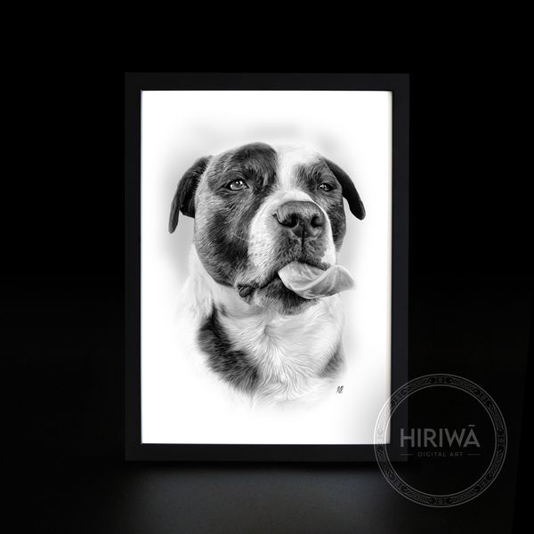 Pet portrait example 10