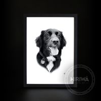 Black and white custom portrait of a long-haired black dog with a white chest.