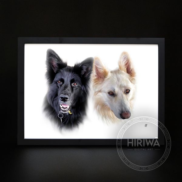 Pet portrait example 9