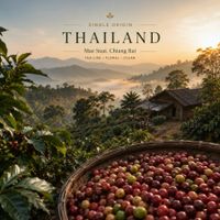 Single origin Thailand coffee beans from Chiang Rai and Chiang Mai with smooth chocolate and tropical fruit notes.