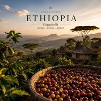 Single origin Ethiopia coffee beans from Yirgacheffe and Guji with jasmine, bergamot, peach, and citrus notes.