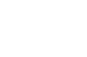 Best Body Co.