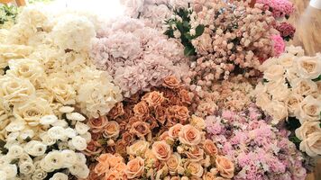 Amazing Artificial Flowers