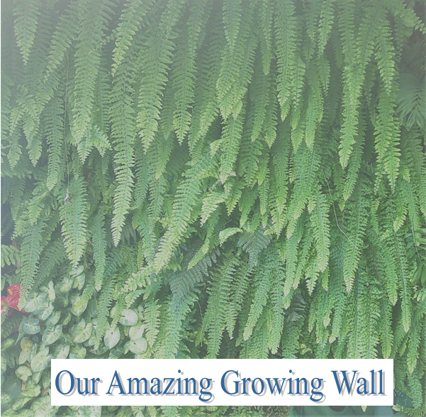 Hydro Halo Water Ring