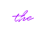 The Content Concierge